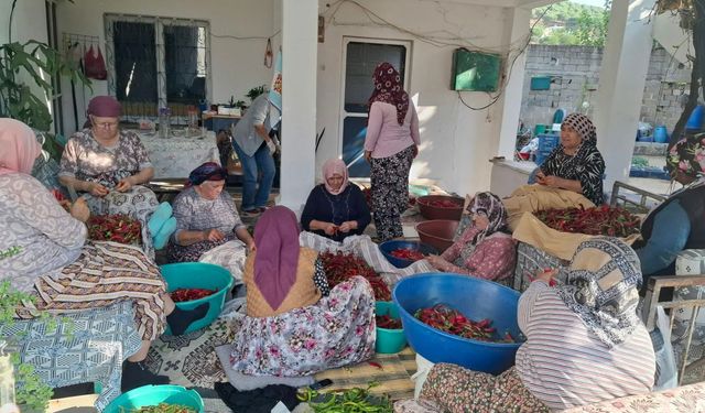 Söke'nin köylerinde komşuluk dayanışması