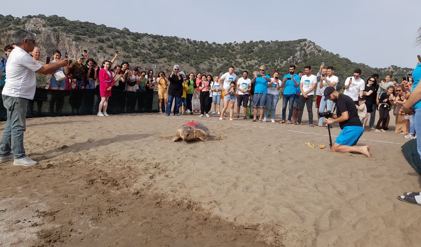 Uydu takip cihazı takılan caretta caretta denize bırakıldı