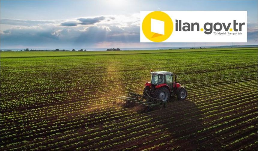 Karpuzlu'da icradan satılık tarla