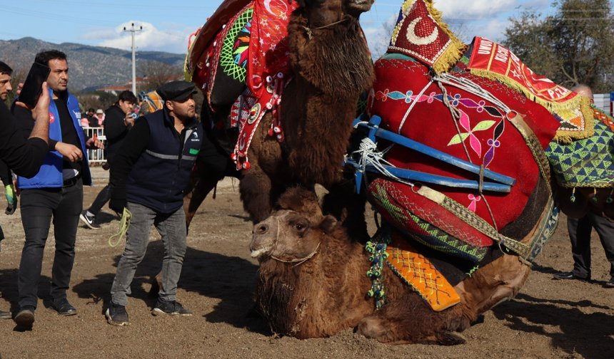 Karpuzlu’da sel felaketine müdahale sürüyor