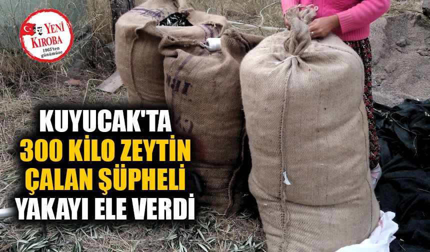 Kuyucak'ta 300 kilo zeytin çalan şüpheli yakayı ele verdi
