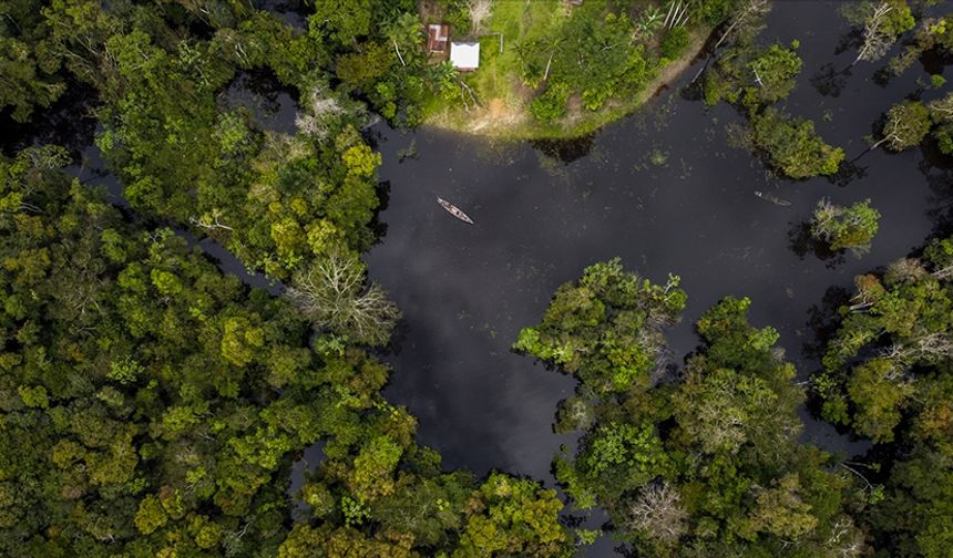 2023'te Amazonlar'da yaşanan kuraklığın öncül nedeni küresel ısınma