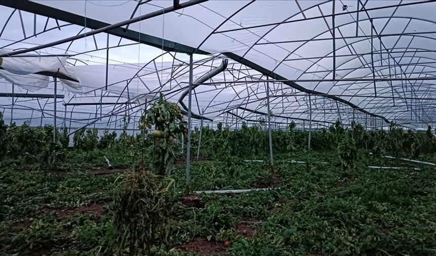 Antalya'da hortum seralara zarar verdi