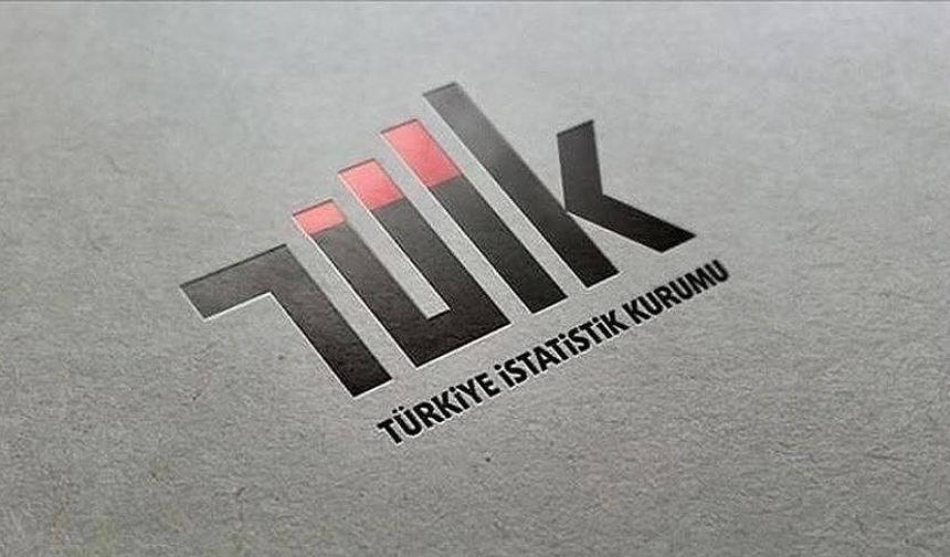 Türkiye İstatistik Kurumu 12 uzman yardımcısı alacak