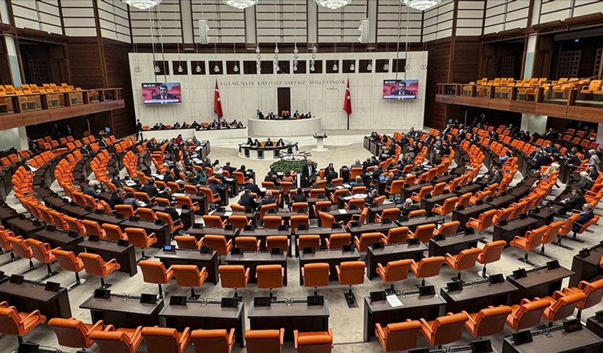 Yargı paketiyle magandalara verilecek cezalar artırılacak