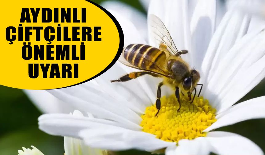Aydınlı çiftçilere arıların korunması için önemli uyarı