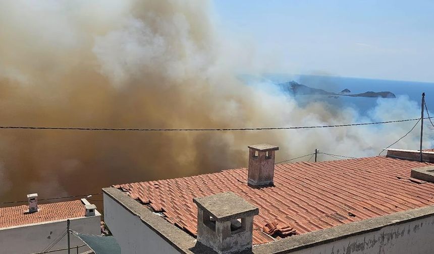 İzmir Dikili'de çıkan orman yangınına müdahale ediliyor