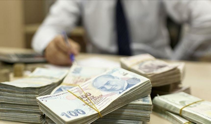 Çiftçilere 252,8 milyon lira tarımsal destekleme ödemesi yapıldı