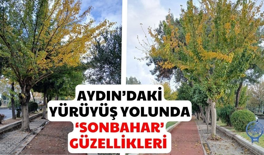 Aydın’daki yürüyüş yolunda ‘sonbahar’ güzellikleri