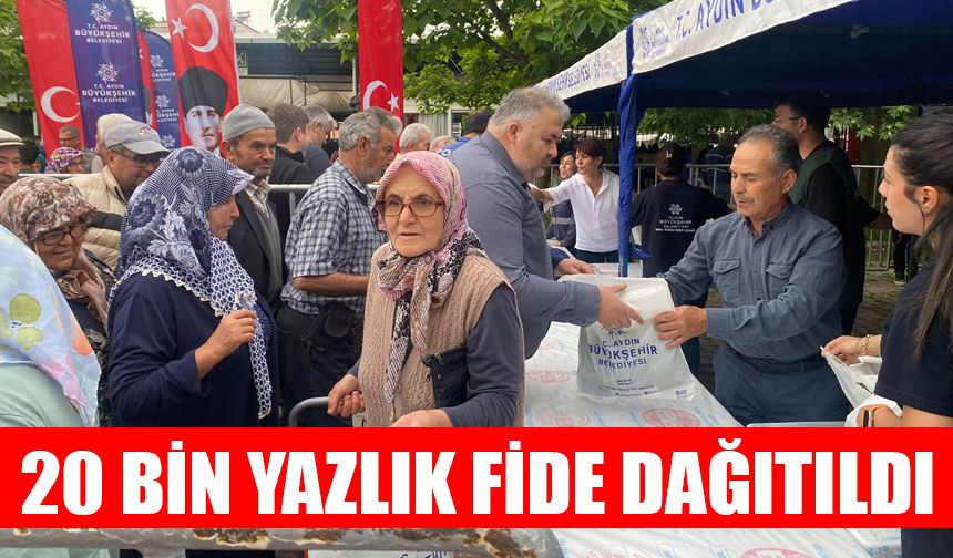 Karpuzlu’da yerli fide kuyruğu
