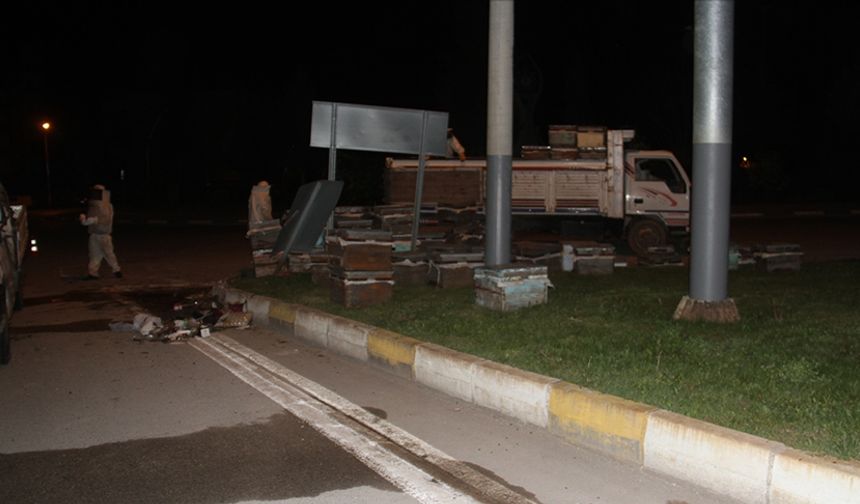 Arı kovanı yüklü kamyonet devrildi