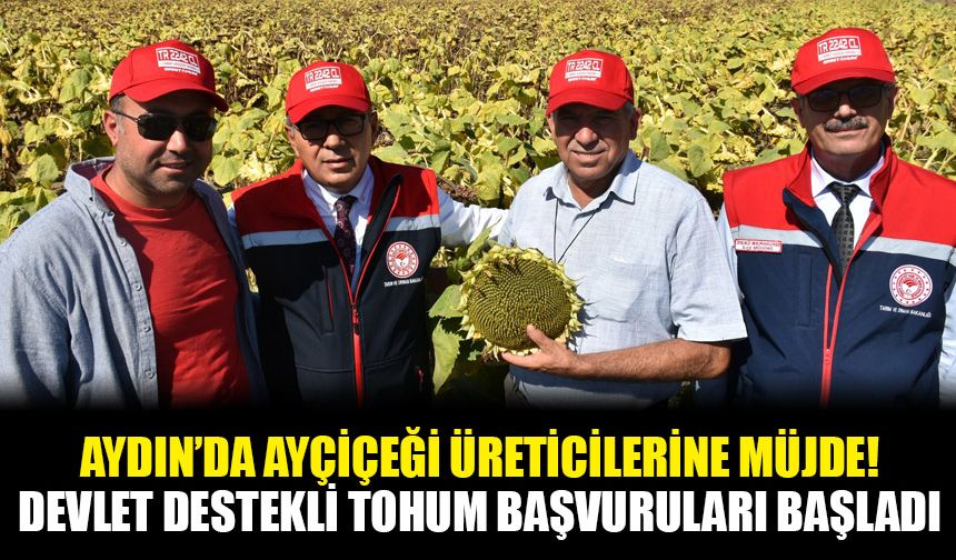 Aydın’da ayçiçeği üreticilerine müjde! Devlet destekli tohum başvuruları başladı