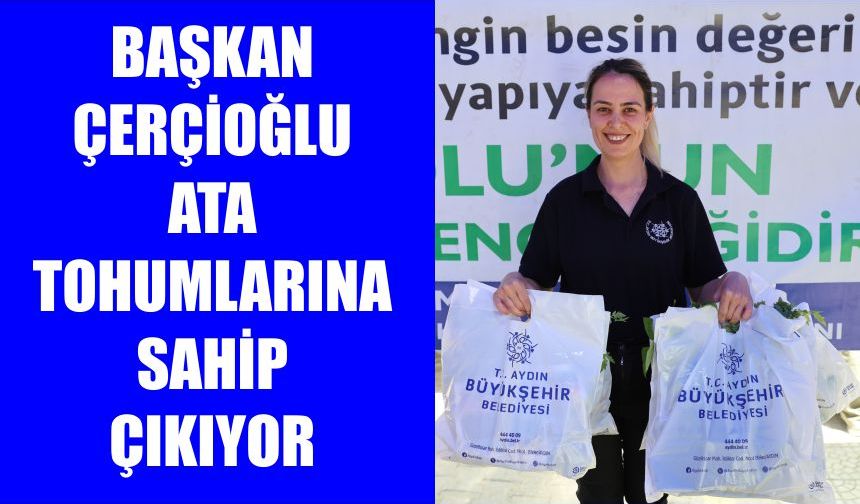 Bozdoğan’da 25 bin fide vatandaşlara dağıtıldı