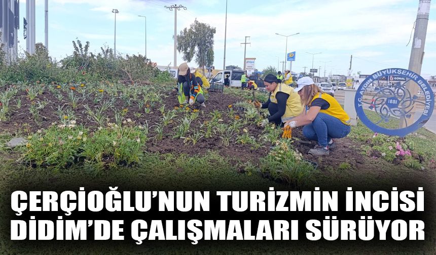 Çerçioğlu’nun turizmin incisi Didim’de çalışmaları sürüyor