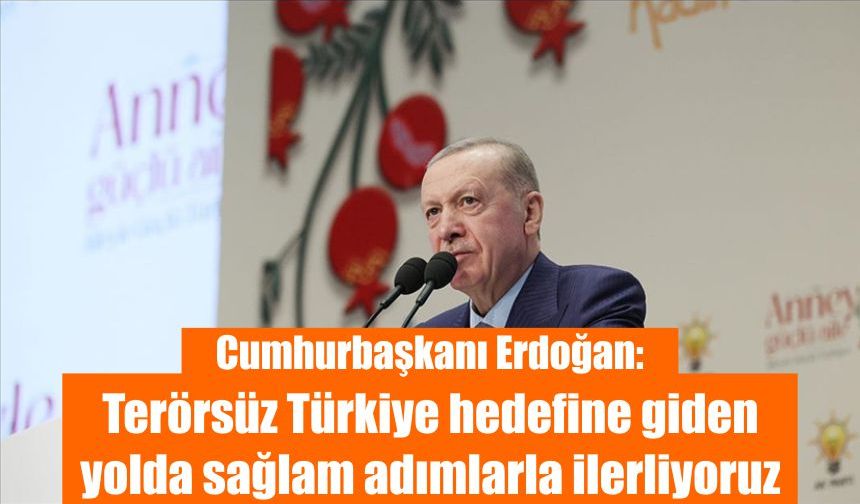 Cumhurbaşkanı Erdoğan: Terörsüz Türkiye hedefine giden yolda sağlam adımlarla ilerliyoruz