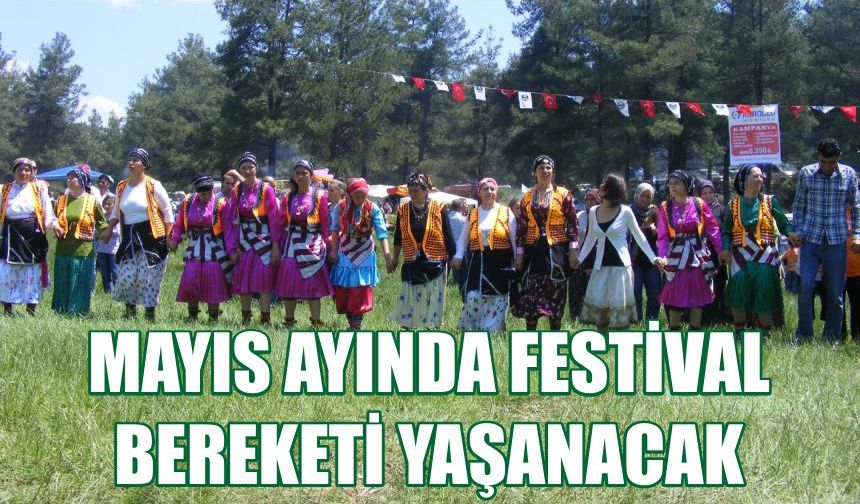 Mayıs ayında festival bereketi yaşanacak