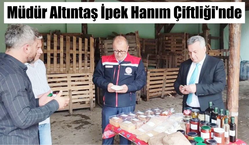 Müdür Altıntaş İpek Hanım Çiftliği'nde