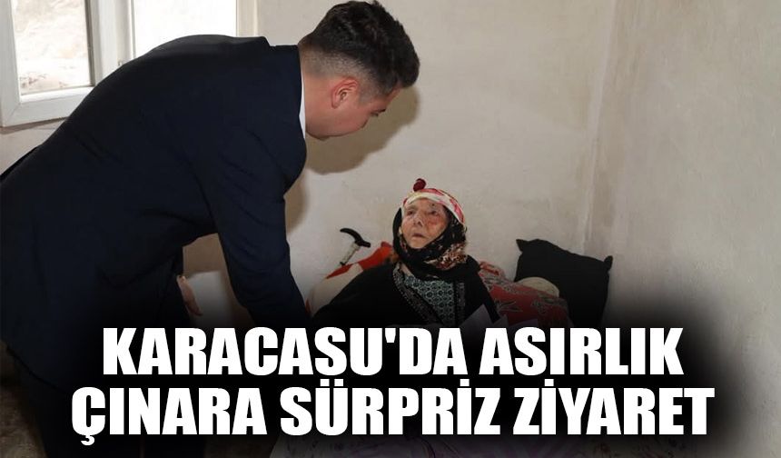 Karacasu'da asırlık çınara sürpriz ziyaret