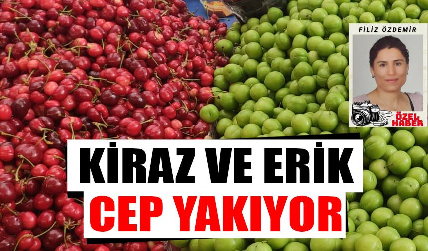 Yaz meyveleri tezgahları renklendirdi