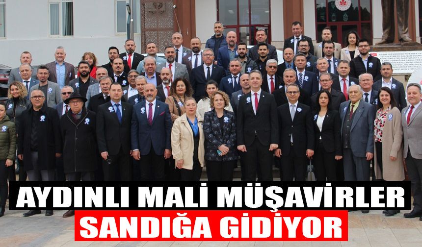 Aydınlı mali müşavirler sandığa gidiyor