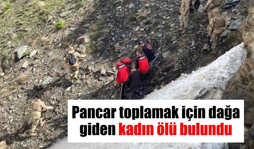 Pancar toplamak için dağa giden kadın ölü bulundu
