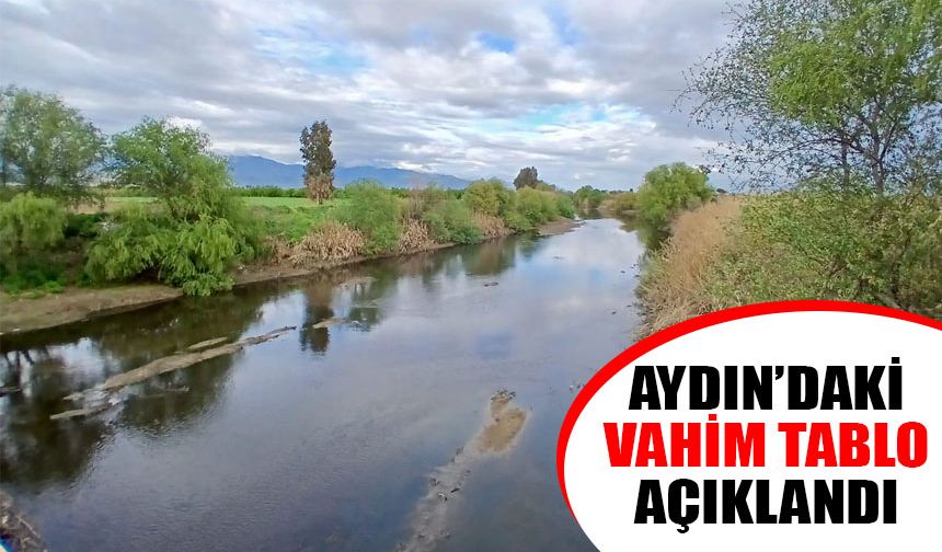 Aydın’ı endişelendiren veri