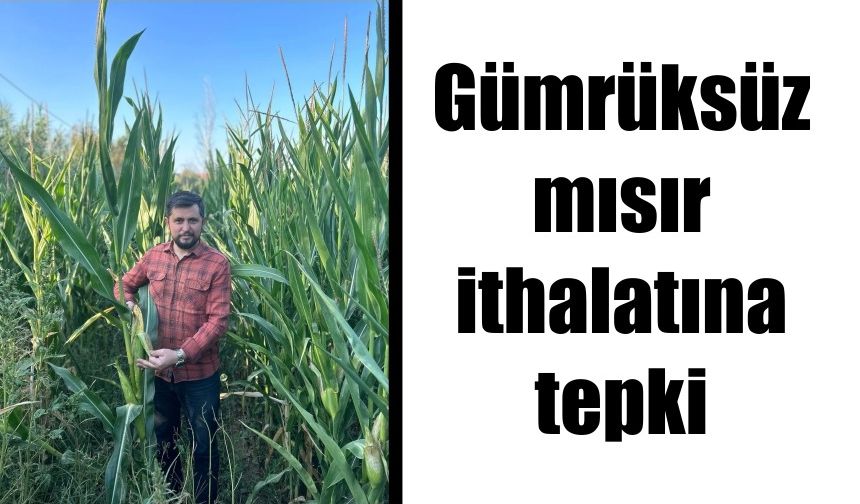 SP'li Kayaoğulları yerli üreticinin yanında