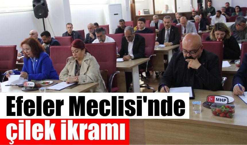 CHP'li Bozkurt jest yaptı