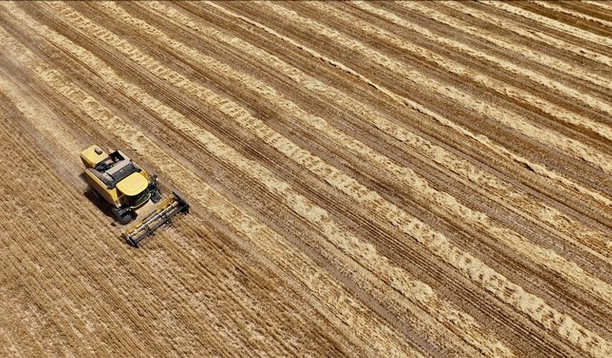 Geçen yıl 105 tarımsal kuruluş “birinci derece örgüt belgesi” aldı
