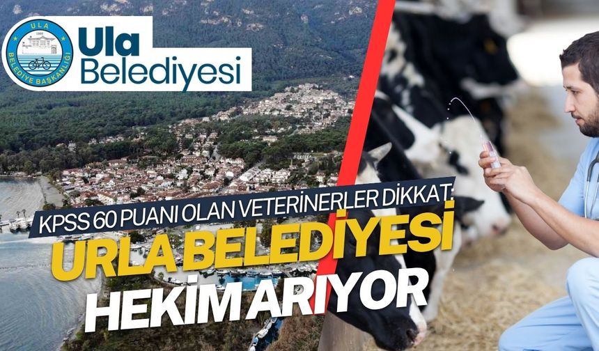 KPSS 60 Puanı Olan Veterinerler Dikkat: Ula Belediyesi Hekim Arıyor