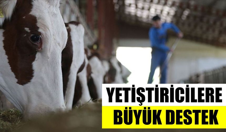 Tarım Bakanlığı’ndan dev destek planı