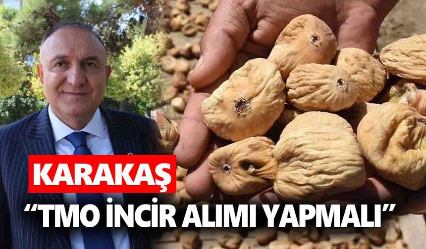 Aydın’da incir üreticileri zorda