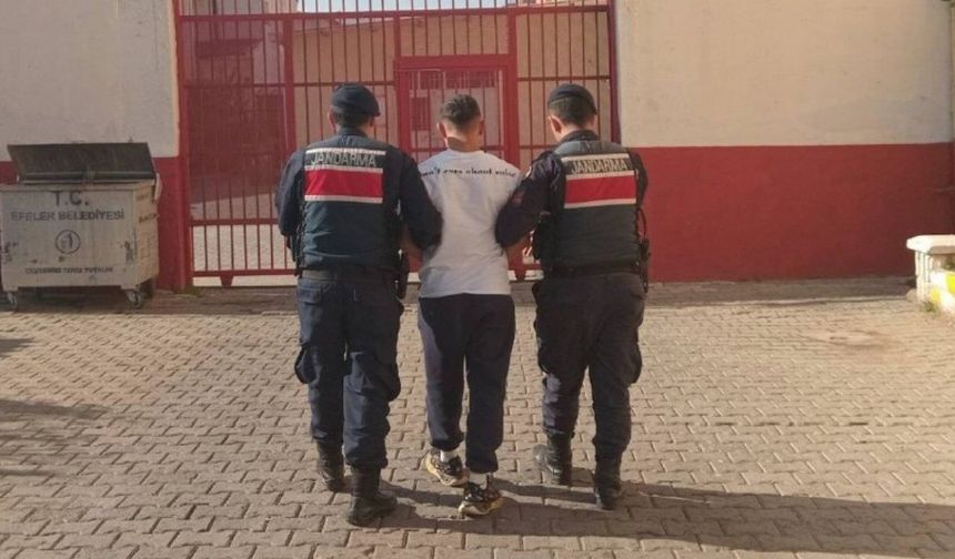 Aydın’da jandarmadan başarılı operasyon