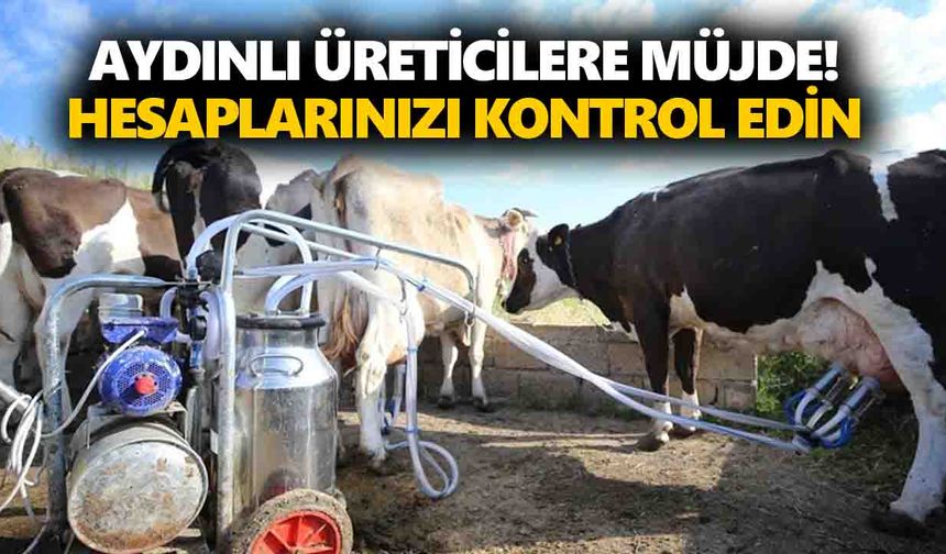 Aydınlı üreticilere müjde! Hesaplarınızı kontrol edin