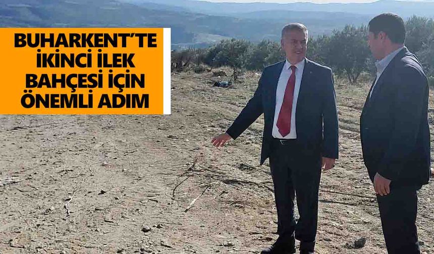 Buharkent'te ilek projesi sürüyor