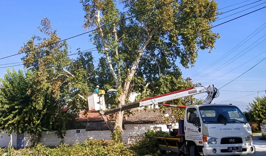 Dalama Mahallesi’nde hummalı çalışma