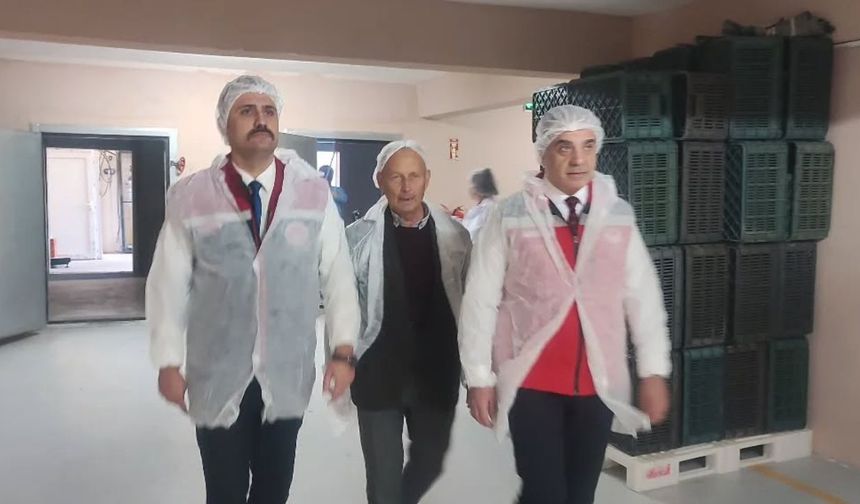 Köşk’te kuru incir, zeytin ve zeytinyağı tesisine ziyaret