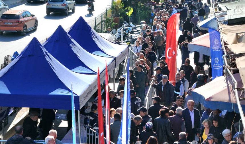 Kuşadası’nda kışlık fidelere yoğun ilgi