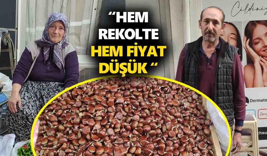Nazilli'de kestane üreticisi dertli