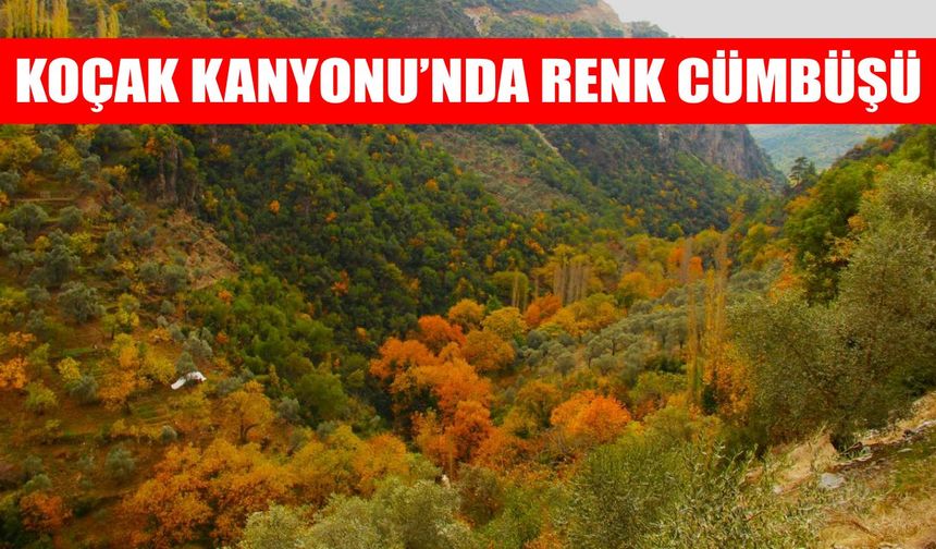 Sonbaharda renk cümbüşü: Koçak Kanyonu büyülüyor
