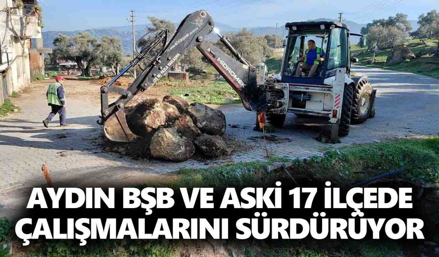 Aydın BŞB ve ASKİ 17 ilçede çalışmalarını sürdürüyor