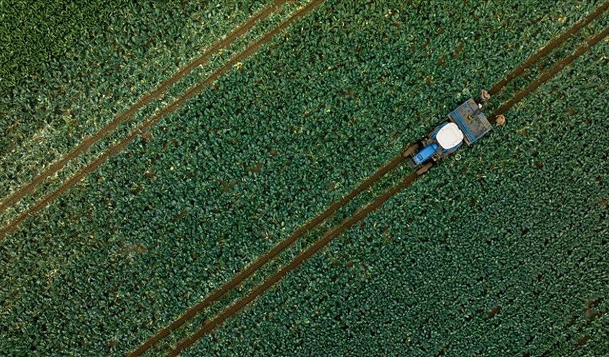 Aydın'da tarım yapmanın en zor olduğu ilçeler açıklandı