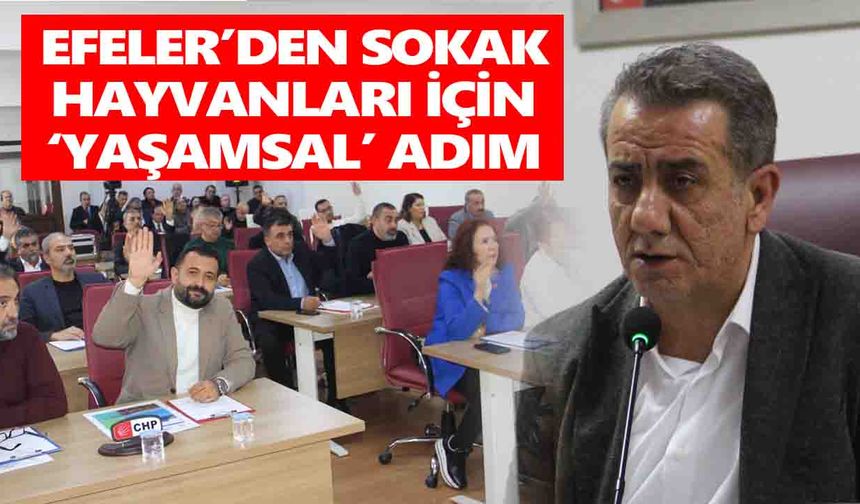 Efeler’den sokak hayvanları için ‘yaşamsal’ adım