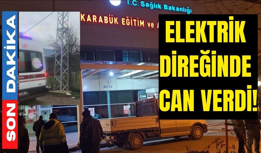 Elektrik direğinde can verdi!