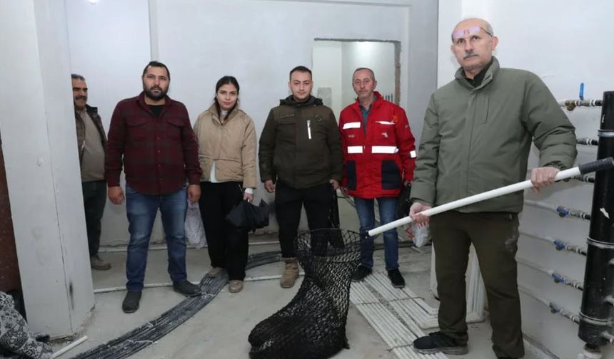 İncirliova’da nesli tükenme tehlikesindeki oklu kirpi doğaya salındı