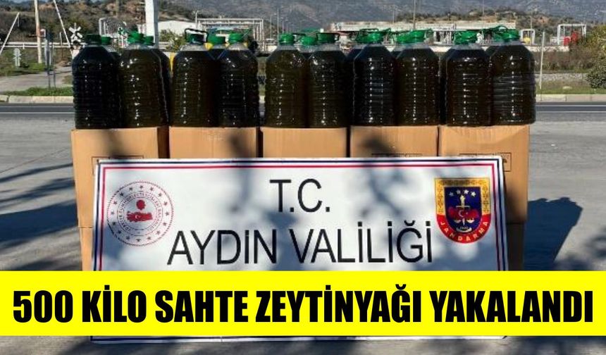 Köşk’te 500 kilo sahte zeytinyağı yakalandı