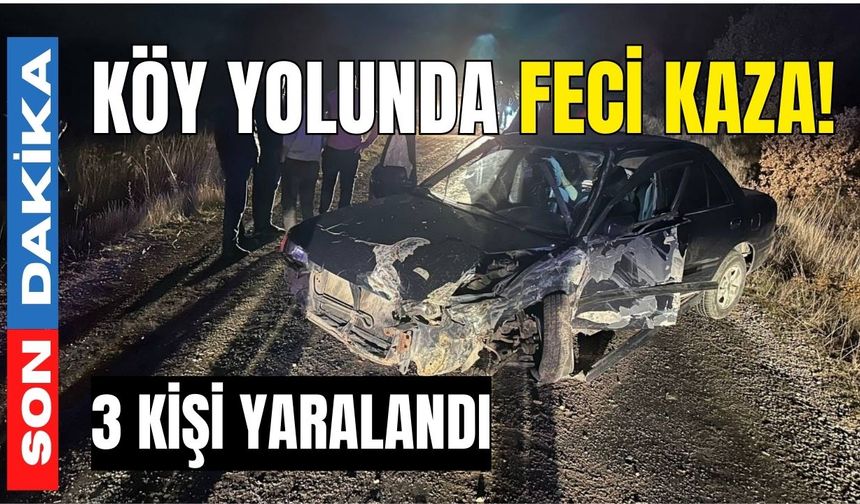 Köy yolunda feci kaza! 3 yaralı