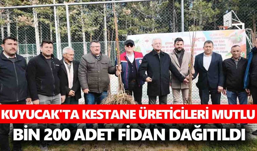 Kuyucak'ta kestane üreticileri mutlu