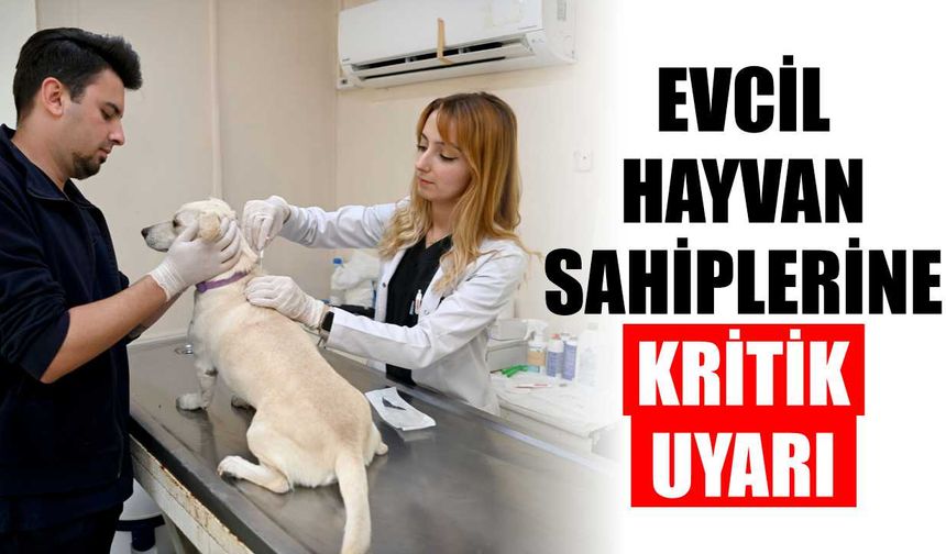 Mikroçip kimliklendirmesinde son tarih yaklaşıyor