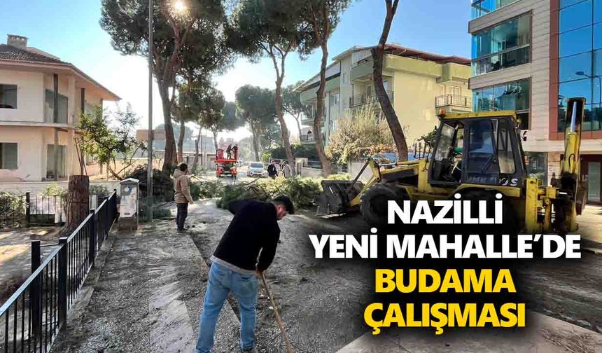 Nazilli Yeni Mahalle’de budama  çalışması